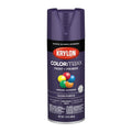 Krylon COLORmaxx Spray Paint and Primer, Gloss Purple, 12 oz Krylon