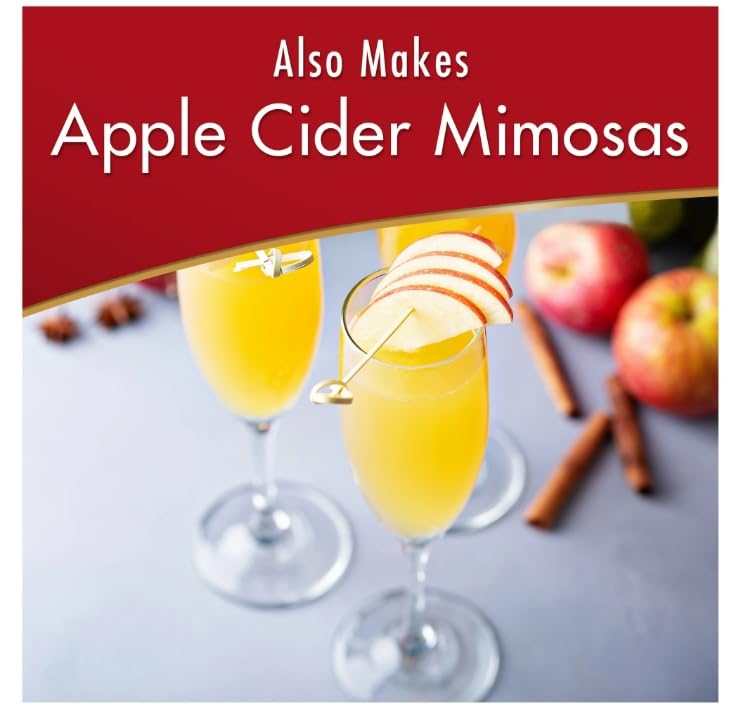 Alpine Spiced Apple Cider Instant Drink Mix, 10 ct. (Pack of 2) Alpine
