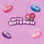 Starburst Berry Burst Jelly Beans, 14 oz Starburst