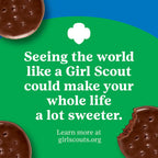 Pop-Tarts Girl Scout Frosted Thin Mints Toaster Pastries, 13.5 oz (8 ct) Pop-Tarts