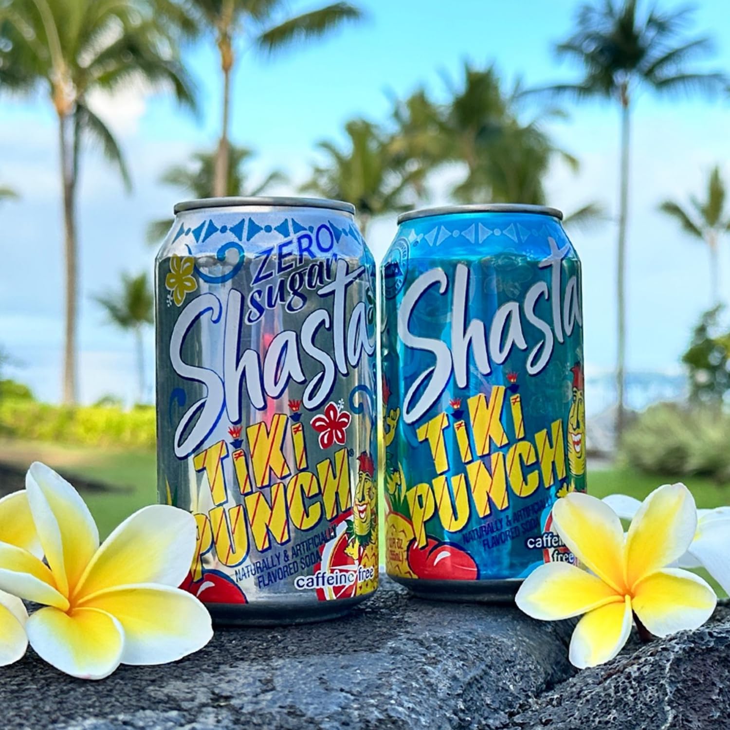 Shasta Tiki Punch Soda, 12 oz (Pack of 12) Shasta