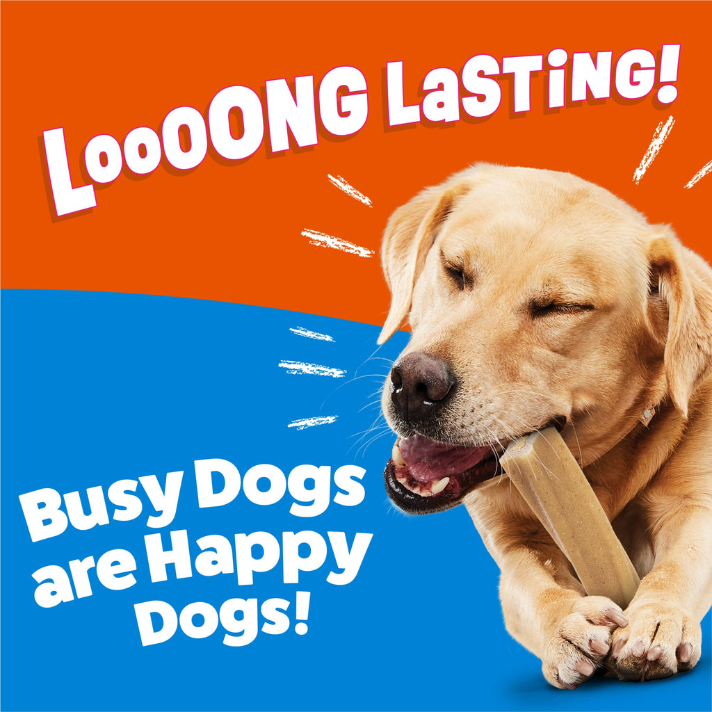 Purina Busy Dog Treats Purina Busy