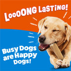 Purina Busy Dog Treats Purina Busy