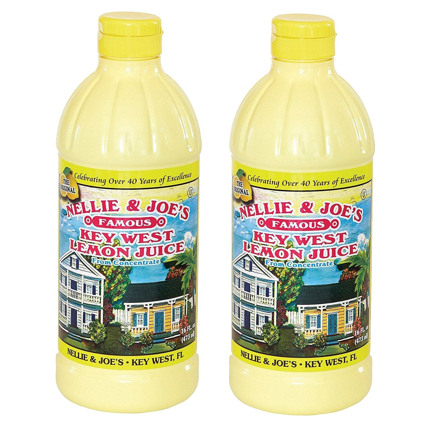 Nellie & Joe's Key West Lemon Juice, 16 oz (Pack of 2) Nellie & Joe's