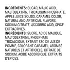 Alpine Spiced Apple Cider Instant Drink Mix, 10 ct. (Pack of 2) Alpine