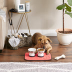 Bone Dry Ultra Absorbent Pet Mat