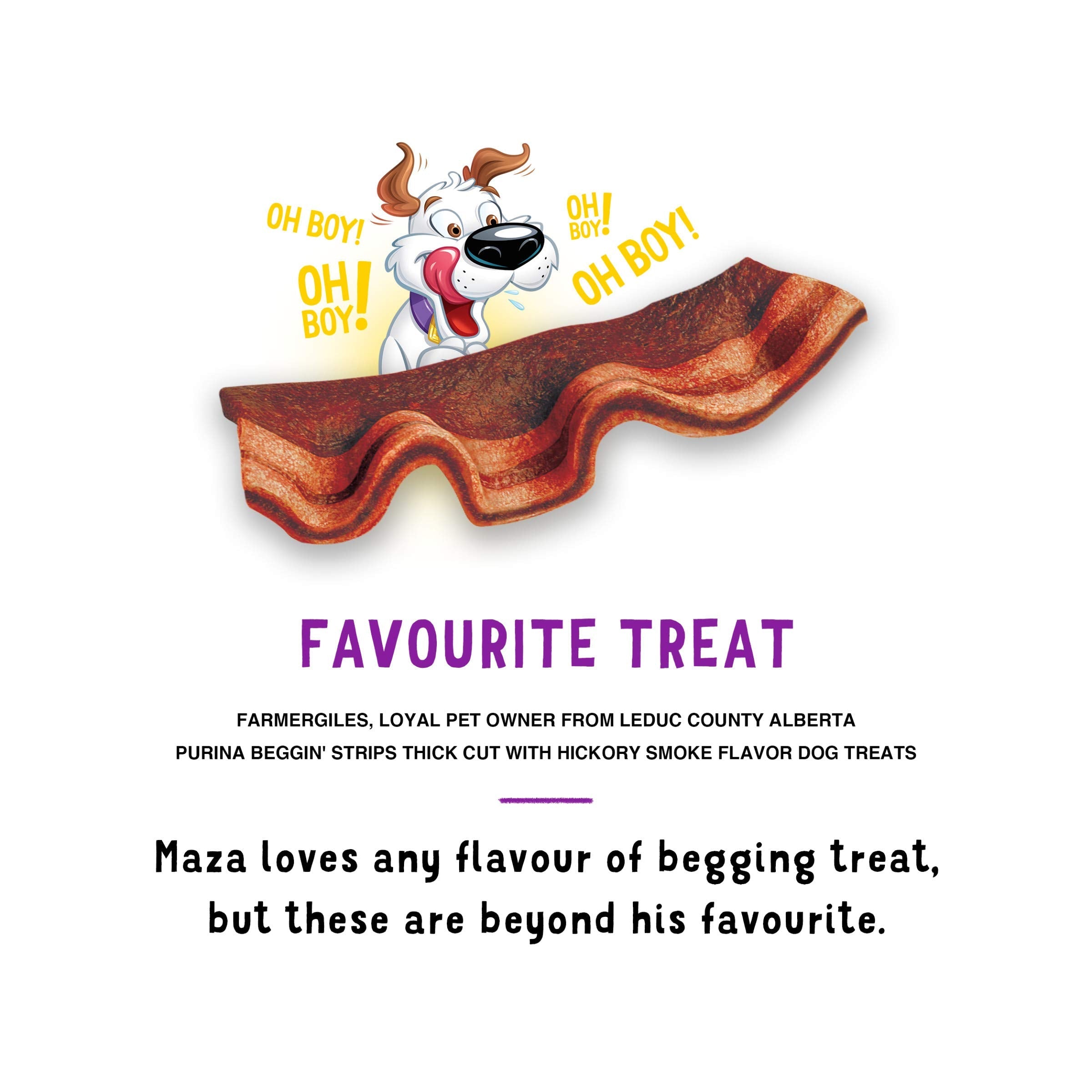 Purina Beggin' Strips, Thick Cut Hickory Smoke, 40 oz Purina