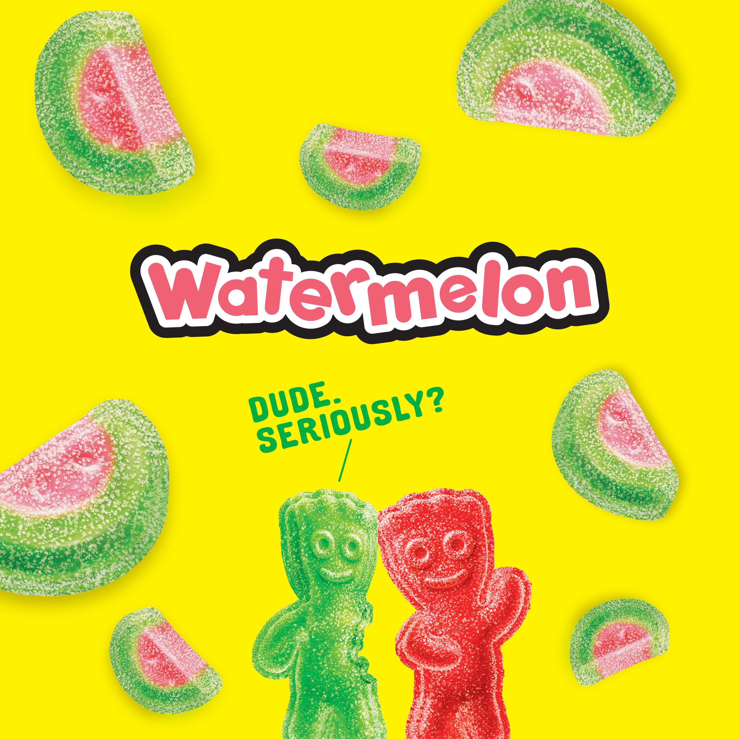 Sour Patch Kids Watermelon Soft and Chewy Gummy Candy, 8 oz Sour Patch Kids
