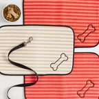 Bone Dry Ultra Absorbent Pet Mat