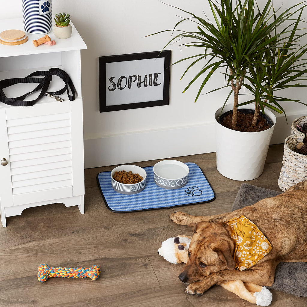 Bone Dry Ultra Absorbent Pet Mat
