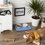 Bone Dry Ultra Absorbent Pet Mat