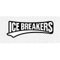 Ice Breakers